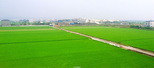Jianan Plain